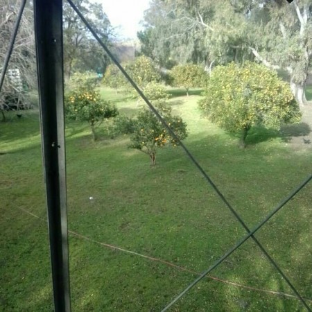 campo con casa y galpones