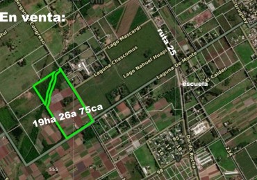 campo 19has camino a Moreno
